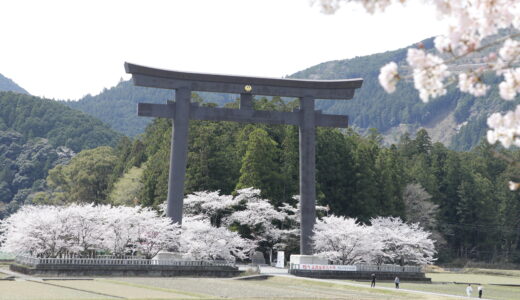 密のない旅をしたい方へ｜熊野古道巡礼の旅